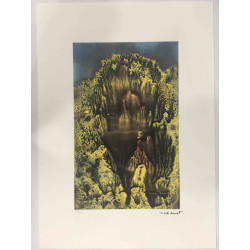 Max Ernst Litografia off set cm 50x70  certificata