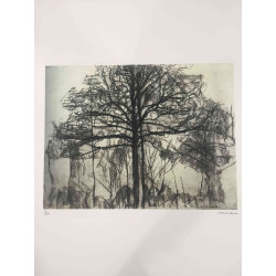 Pieter Cornelis Mondriaan Lithografie off set 50x65 cm gecertificeerd