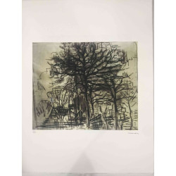 Pieter Cornelis Mondriaan Litografia off set 50x65 cm certificat