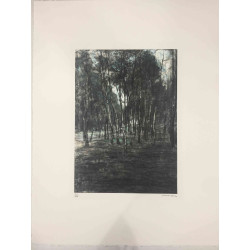Pieter Cornelis Mondriaan Lithografie off set 50x65 cm gecertificeerd