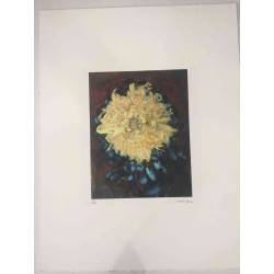 Pieter Cornelis Mondriaan Litografia off set 50x65 cm certificat
