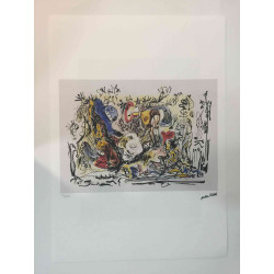 Jackson Pollock Lithografie off set 50x70 cm gecertificeerd