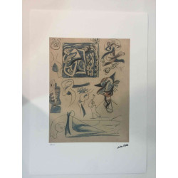 Jackson Pollock Lithografie off set 50x70 cm gecertificeerd