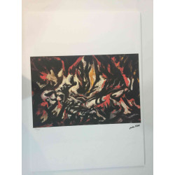 Jackson Pollock Lithografie off set 50x70 cm gecertificeerd