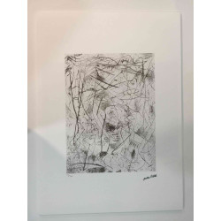 Set de litografía Jackson Pollock 50x70 cm certificado