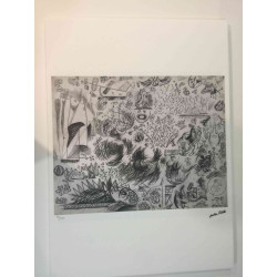 Set de litografía Jackson Pollock 50x70 cm certificado