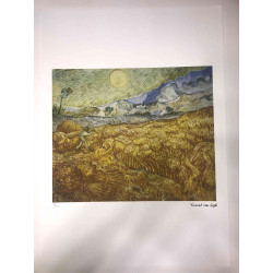 Vincent Willem van Gogh Lithografie off set 50x70 cm gecertificeerd