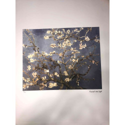 Vincent Willem van Gogh Lithografie off set 50x70 cm gecertificeerd