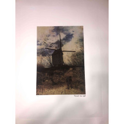 Vincent Willem van Gogh Lithografie off set 50x70 cm gecertificeerd