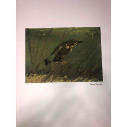 Vincent Willem van Gogh Lithografie off set 50x70 cm gecertificeerd