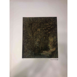 Vincent Willem van Gogh Litografía off set 50x70 cm certificada