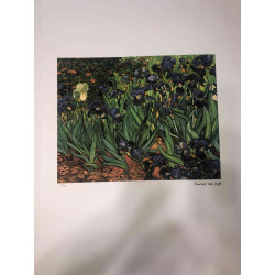 Vincent Willem van Gogh Lithografie off set 50x70 cm gecertificeerd