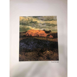 Vincent Willem van Gogh Lithografie off set 50x70 cm gecertificeerd