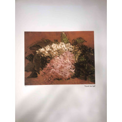 Vincent Willem van Gogh Litografía off set 50x70 cm certificada