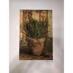 Vincent Willem van Gogh Litografía off set 50x70 cm certificada