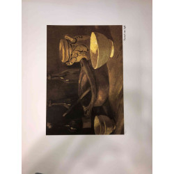 Vincent Willem van Gogh Lithografie off set 50x70 cm gecertificeerd