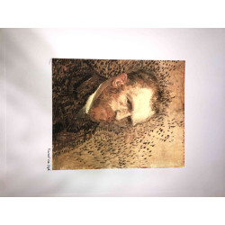 Vincent Willem van Gogh Lithografie off set 50x70 cm gecertificeerd