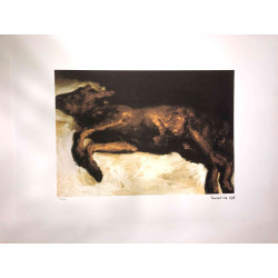 Vincent Willem van Gogh Lithografie off set 50x70 cm gecertificeerd