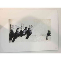 Banksy Lithografie offset 50x70 cm POW-editie