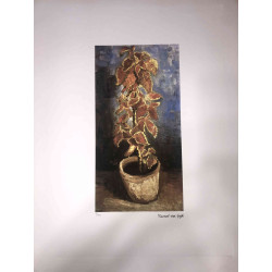Vincent Willem van Gogh Litografía off set 50x70 cm certificado