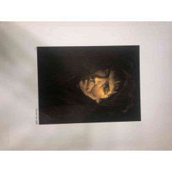 Vincent Willem van Gogh Lithografie off set 50x70 cm gecertificeerd