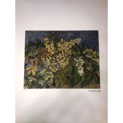 Litografická súprava Vincenta Willema van Gogha certifikovaná 50x70 cm