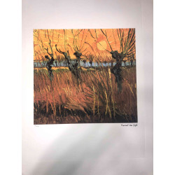 Vincent Willem van Gogh Litografía off set 50x70 cm certificada