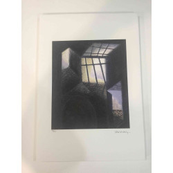 Victor Vasarely Lithographie Offset 35x50 cm zertifiziert