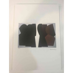 Victor Vasarely Lithographie Offset 35x50 cm zertifiziert