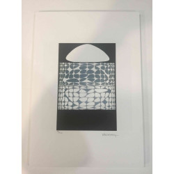 Victor Vasarely Lithographie Offset 35x50 cm zertifiziert