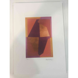 Victor Vasarely Lithographie Offset 35x50 cm zertifiziert