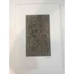 Victor Vasarely Lithographie Offset 35x50 cm zertifiziert