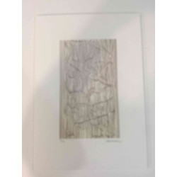 Victor Vasarely Lithografie off set 35x50 cm gecertificeerd