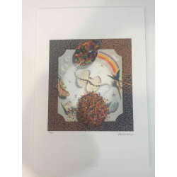 Victor Vasarely Lithographie Offset 35x50 cm zertifiziert