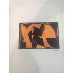 Victor Vasarely Lithographie Offset 35x50 cm zertifiziert
