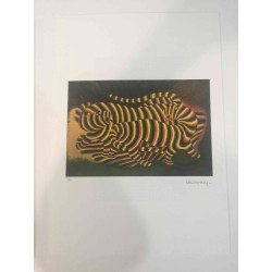 Victor Vasarely Lithographie Offset 35x50 cm zertifiziert