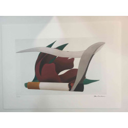 Tom Wesselmann Lithografie off set 50x70 cm gecertificeerd