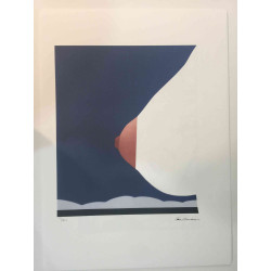 Tom Wesselmann Lithograph off set 50x70 cm certified