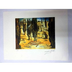 Salvador Dali Litografia off set cm 50x65   certificata