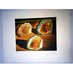 Salvador Dalí Litografía off set 50x65 cm certificado
