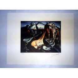 Salvador Dali Lithografie off set 50x65 cm gecertificeerd