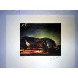 Salvador Dali Lithographie Offset 50x65 cm zertifiziert
