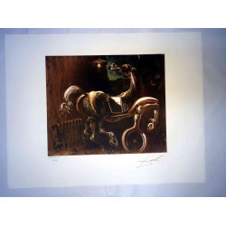Salvador Dali Lithographie Offset 50x65 cm zertifiziert