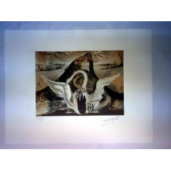 Salvador Dali Lithografie off set 50x65 cm gecertificeerd