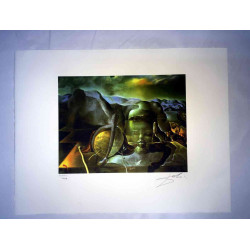 Salvador Dali Lithografie off set 50x65 cm gecertificeerd