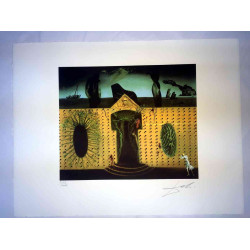 Salvador Dali Lithografie off set 50x65 cm gecertificeerd