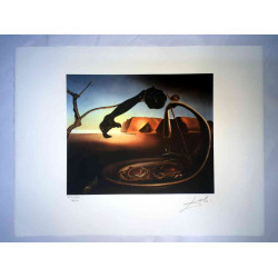 Salvador Dali Lithografie off set 50x65 cm gecertificeerd