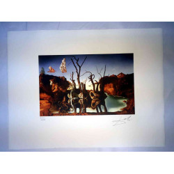 Salvador Dali Lithografie off set 50x65 cm gecertificeerd