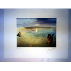 Salvador Dali Lithografie off set 50x65 cm gecertificeerd