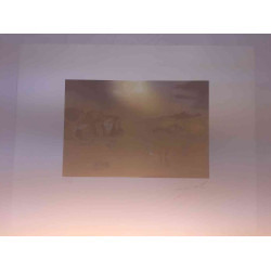 Salvador Dali Lithografie off set 50x65 cm gecertificeerd